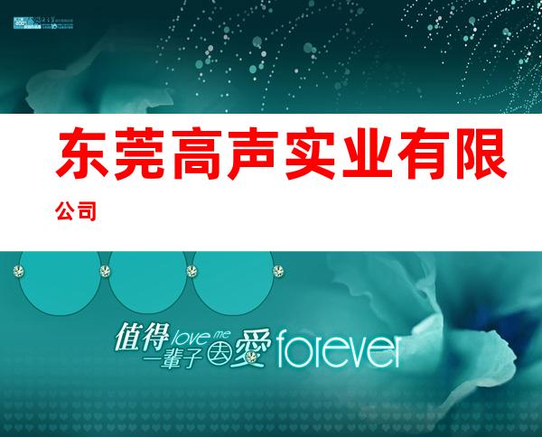 东莞高声实业有限公司